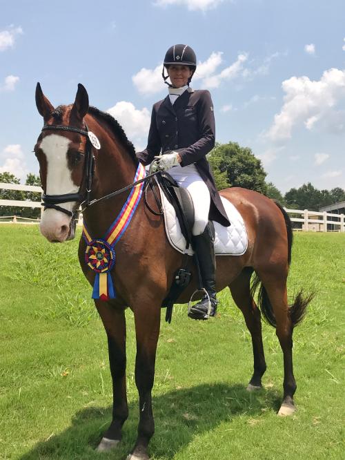 dressage horse for sale in Georgia United States 